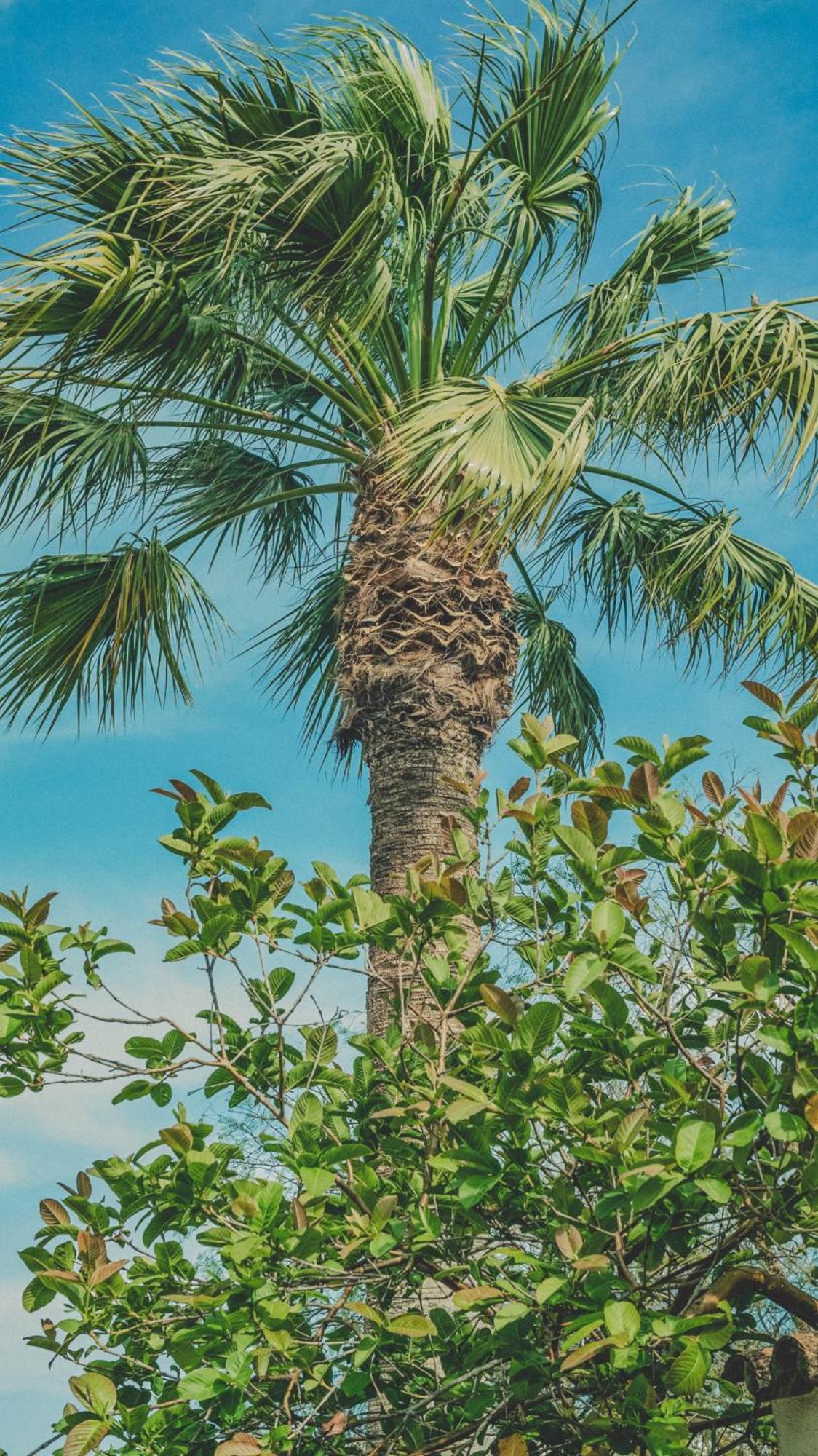 Pine House - Faro Airport, Beach And City Center Exterior foto